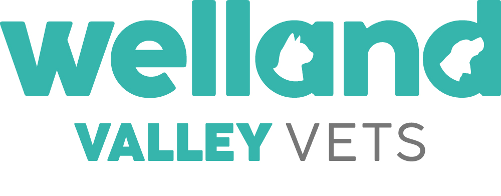Welland Valley Vets